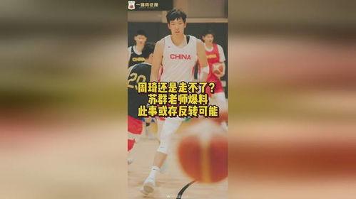 苏师傅最新爆料,娱乐圈最新爆料大揭秘！