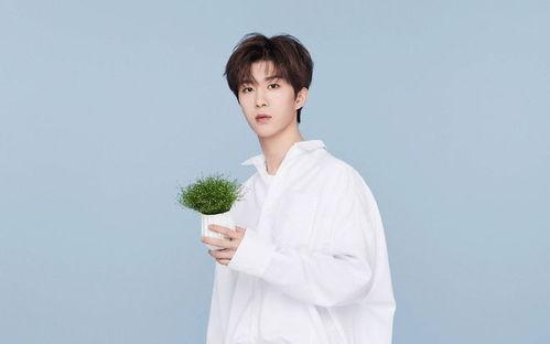 白鹿范丞丞最新爆料视频